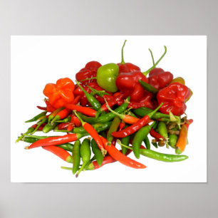 Freshly Picked Chillies Poster