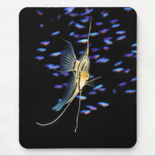 Freshwater Angelfish + Cardinal Tetras Mouse Mat