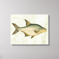 Freshwater Fish on Map