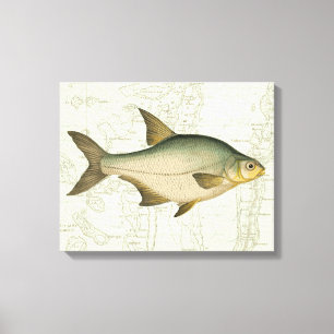 Freshwater Fish on Map Canvas Print