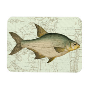 Freshwater Fish on Map Magnet
