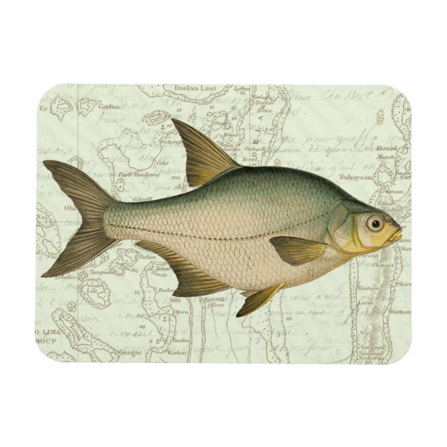 Freshwater Fish on Map Magnet (Horizontal)