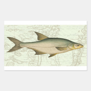 Freshwater Fish on Map Rectangular Sticker