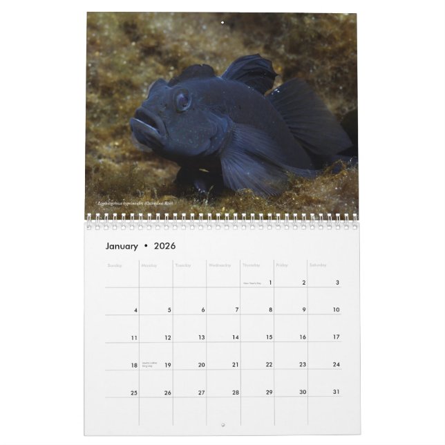 Freshwater Fishes of Mexico 2011 Calendar (Jan 2026)