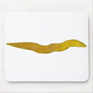Freshwater Moray Mouse Mat
