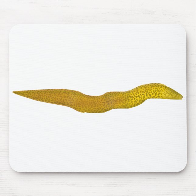 Freshwater Moray Mouse Mat (Front)