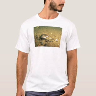 Freshwater Mussel T-Shirt