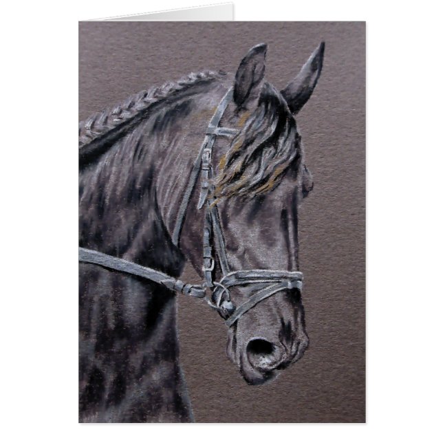 Fresian (Front)