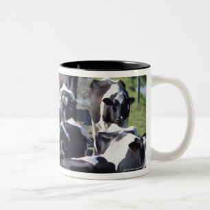 Fresian Dairy Cows, Awaiting Milking, Co Laois, Two-Tone Coffee Mug
