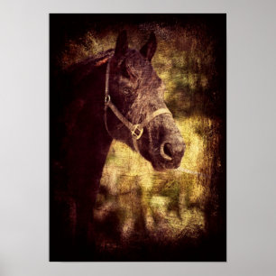 Fresian Grunge Poster