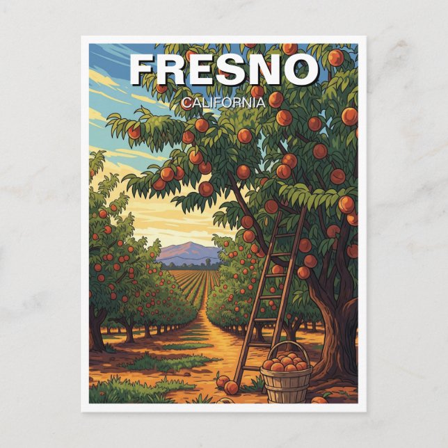 Fresno California Central Valley Postcard (Front)