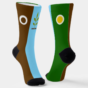 Fresno (California) city flag Socks