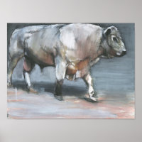 Fresno Galloway Bull