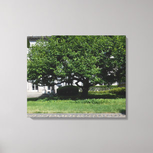 Frick Musuem Canvas Print