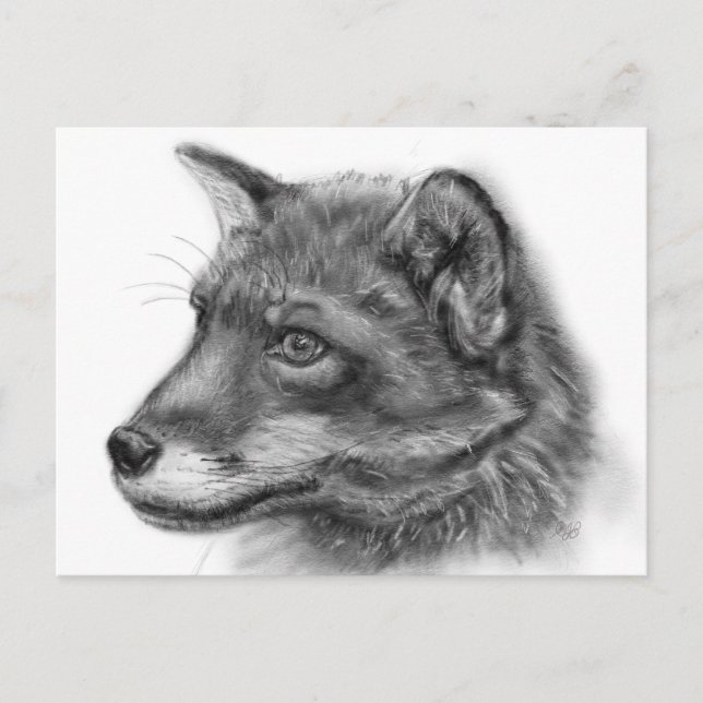 Frida, The Wee Scottish Fox! Postcard (Front)