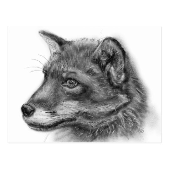 Frida, The Wee Scottish Fox! Postcard