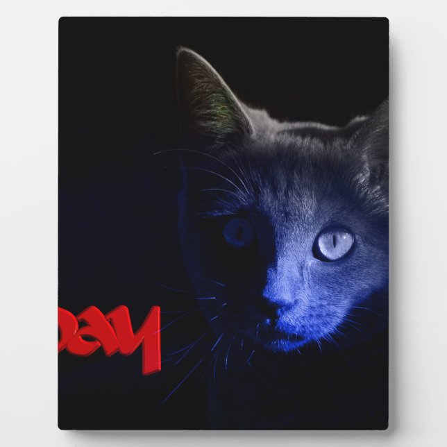 friday the 13th plaque (Front)