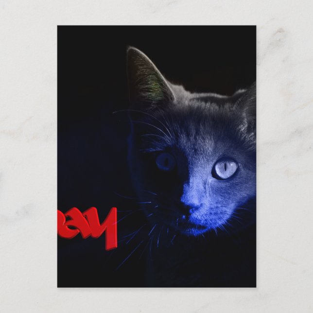 friday the 13th postcard (Front)