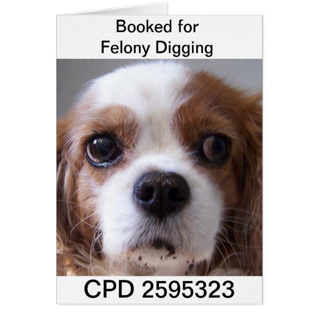 Fridays Mug Shot (Front)