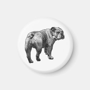 Fridge Bulldog, Gentle Watch Magnet