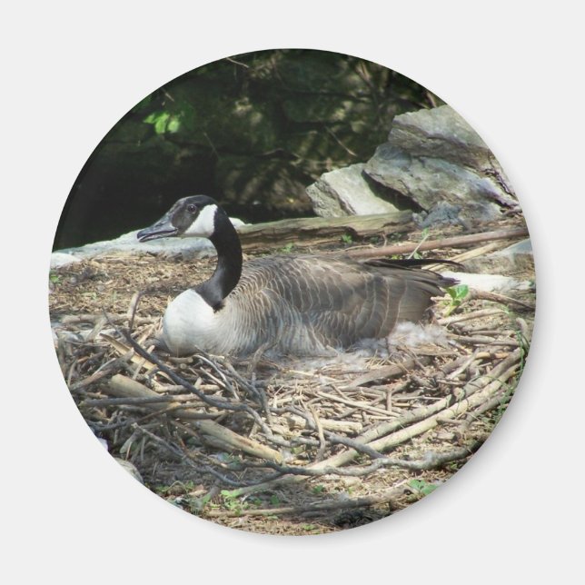 'Fridge Goose Magnet (Front)