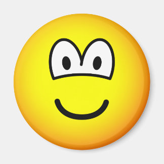 Fridge Magents Magnet