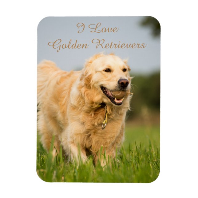 Fridge Magnet with Golden Retriever and Slogan (Vertical)
