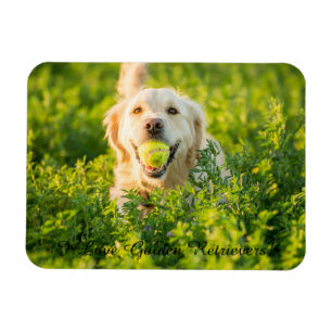 Fridge Magnet with Golden Retriever and Slogan