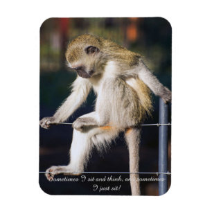 Fridge Magnet with Monkey and Slogan