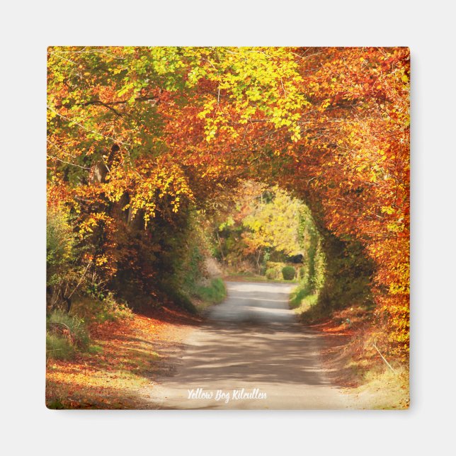 Fridge Magnet Yellow Bog Kilcullen (Front)