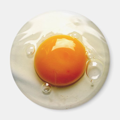 Image of Fried Egg Sunny side up Photo Magnet