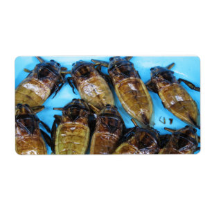 Fried Giant Water Bug (Maeng Daa) ... Asian Food