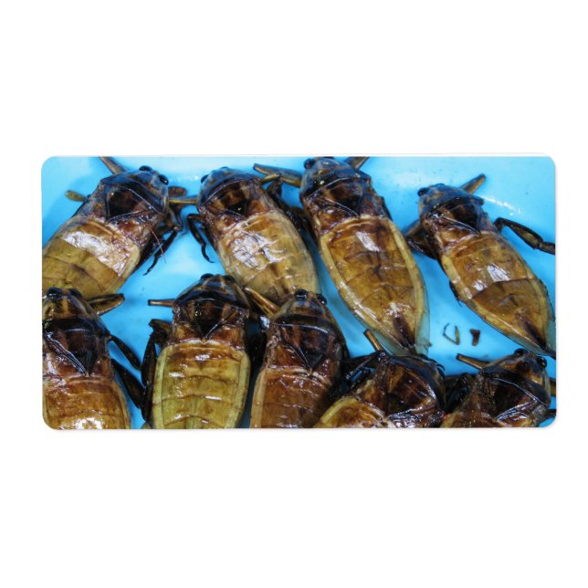 Fried Giant Water Bug (Maeng Daa) ... Asian Food (Front)