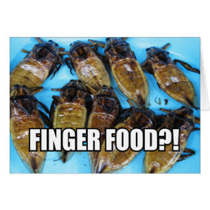 Fried Giant Water Bug (Maeng Daa) ... Asian Food