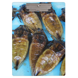 Fried Giant Water Bug (Maeng Daa) ... Asian Food Clipboard