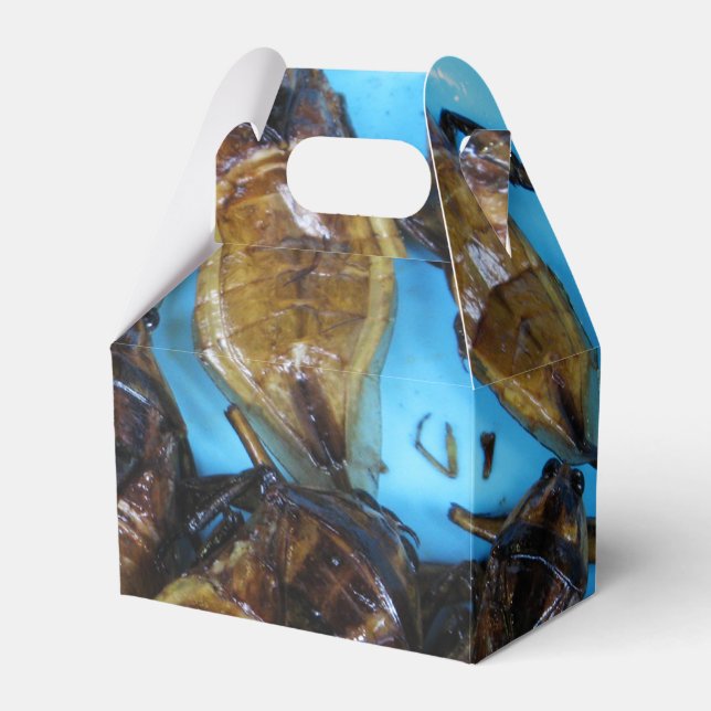 Fried Giant Water Bug (Maeng Daa) ... Asian Food Favour Box (Front Side)