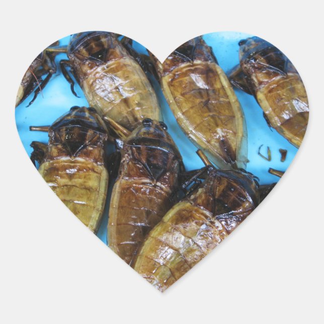 Fried Giant Water Bug (Maeng Daa) ... Asian Food Heart Sticker (Front)