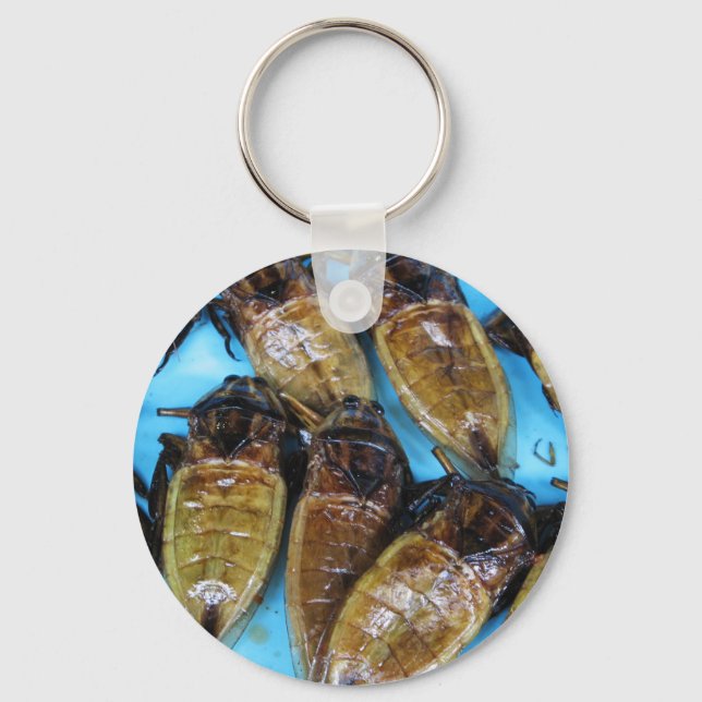Fried Giant Water Bug (Maeng Daa) ... Asian Food Key Ring (Front)