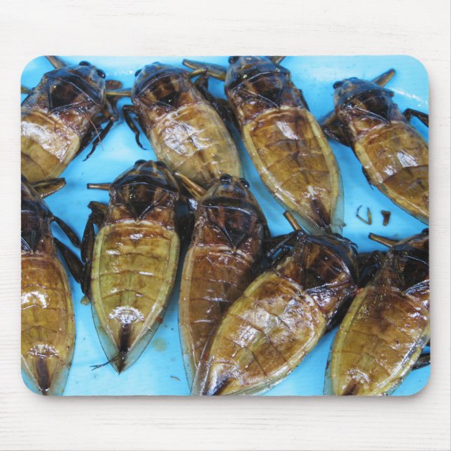 Fried Giant Water Bug (Maeng Daa) ... Asian Food Mouse Mat (Front)