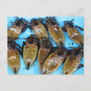 Fried Giant Water Bug (Maeng Daa) ... Asian Food Postcard