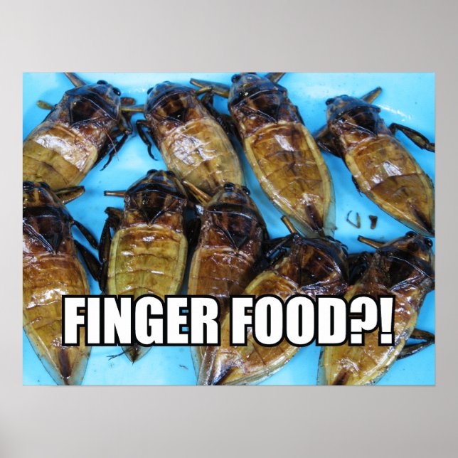 Fried Giant Water Bug (Maeng Daa) ... Asian Food Poster (Front)