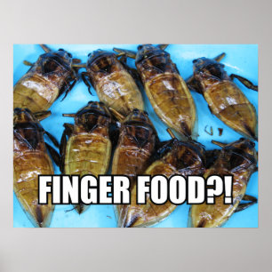 Fried Giant Water Bug (Maeng Daa) ... Asian Food Poster