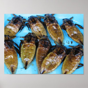 Fried Giant Water Bug (Maeng Daa) ... Asian Food Poster