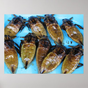 Fried Giant Water Bug (Maeng Daa) ... Asian Food Poster