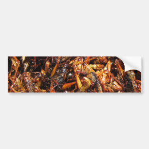 Fried Grasshopper (Takkataen Thot) Asian Food Bumper Sticker