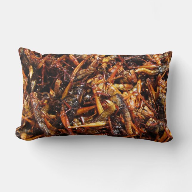 Fried Grasshopper (Takkataen Thot) Asian Food Lumbar Cushion (Front)