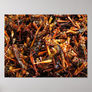 Fried Grasshopper (Takkataen Thot) Asian Food Poster