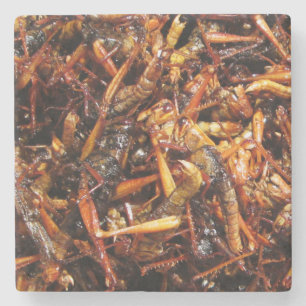 Fried Grasshopper (Takkataen Thot) Asian Food Stone Coaster