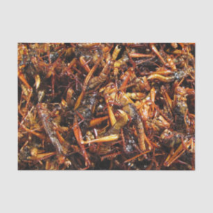 Fried Grasshopper (Takkataen Thot) Asian Food Tissue Paper