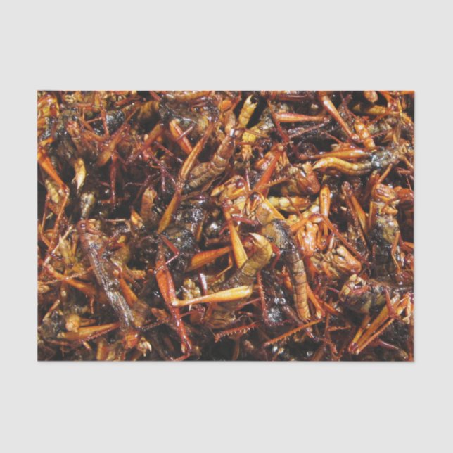 Fried Grasshopper (Takkataen Thot) Asian Food Tissue Paper (Front)